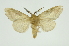  ( - INB0004187513)  @13 [ ] Copyright (2012) Juan Mata Lorenzen Unspecified