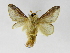  ( - INB0004187681)  @13 [ ] Copyright (2012) J. Montero Instituto Nacional de Biodiversidad