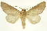  ( - INB0004187697)  @14 [ ] Copyright (2012) J. Montero INBio
