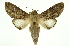  ( - INB0004187699)  @14 [ ] Copyright (2012) Juan Mata Lorenzen Unspecified