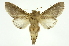  ( - INB0004187699)  @14 [ ] Copyright (2012) Juan Mata Lorenzen Unspecified