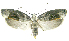 ( - INB0004187964)  @14 [ ] CreativeCommons - Attribution Non-Commercial Share-Alike  National Biodiversity Institute of Costa Rica National Biodiversity Institute of Costa Rica