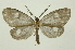  ( - INB0004188915)  @15 [ ] Copyright (2012) Juan Mata Lorenzen Unspecified