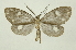  ( - INB0004188915)  @14 [ ] Copyright (2012) Juan Mata Lorenzen Unspecified