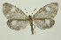  ( - INB0004188917)  @14 [ ] Copyright (2012) Juan Mata Lorenzen Unspecified