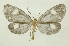  ( - INB0004188917)  @14 [ ] Copyright (2012) Juan Mata Lorenzen Unspecified