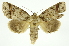  ( - INB0004189521)  @14 [ ] Copyright (2012) Juan Mata Lorenzen Unspecified
