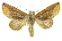  ( - INB0004189539)  @15 [ ] Copyright (2012) Juan Mata Lorenzen Unspecified