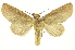  ( - INB0004189539)  @15 [ ] Copyright (2012) Juan Mata Lorenzen Unspecified