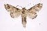  ( - INB0004191528)  @14 [ ] Copyright (2012) I. Chacon Instituto Nacional de Biodiversidad