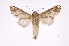  ( - INB0004191528)  @14 [ ] Copyright (2012) I. Chacon Instituto Nacional de Biodiversidad