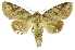 ( - INB0004191607)  @13 [ ] Copyright (2012) Juan Mata Lorenzen Unspecified