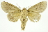 ( - INB0004191607)  @13 [ ] Copyright (2012) Juan Mata Lorenzen Unspecified