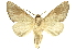  ( - INB0004192915)  @14 [ ] Copyright (2012) J. Montero INBio