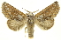  ( - INB0004192929)  @15 [ ] Copyright (2012) Juan Mata Lorenzen Unspecified