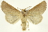  ( - INB0004192929)  @14 [ ] Copyright (2012) Juan Mata Lorenzen Unspecified