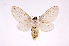  ( - INB0004199931)  @14 [ ] Copyright (2012) J. Montero Instituto Nacional de Biodiversidad