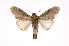  ( - INB0004200201)  @14 [ ] Copyright (2012) I. Chacon Instituto Nacional de Biodiversidad