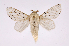  ( - INB0004200400)  @14 [ ] Copyright (2012) J. Montero Instituto Nacional de Biodiversidad