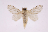  ( - INB0004200400)  @14 [ ] Copyright (2012) J. Montero Instituto Nacional de Biodiversidad
