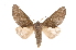  ( - INB0004201978)  @14 [ ] Copyright (2012) I. Chacon Instituto Nacional de Biodiversidad
