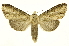  ( - INB0004202010)  @15 [ ] Copyright (2012) Juan Mata Lorenzen Unspecified