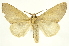  ( - INB0004202397)  @14 [ ] Copyright (2012) J. Montero INBio