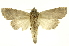  ( - INB0004202428)  @13 [ ] Copyright (2012) Juan Mata Lorenzen Unspecified