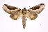  ( - INB0004202493)  @14 [ ] Copyright (2012) I. Chacon Instituto Nacional de Biodiversidad