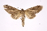  ( - INB0004202493)  @14 [ ] Copyright (2012) I. Chacon Instituto Nacional de Biodiversidad