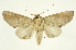  ( - INB0004204295)  @15 [ ] Copyright (2012) J. Montero INBio