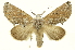  ( - INB0004204377)  @14 [ ] Copyright (2012) Juan Mata Lorenzen Unspecified