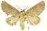  ( - INB0004204377)  @14 [ ] Copyright (2012) Juan Mata Lorenzen Unspecified