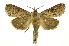  ( - INB0004204388)  @13 [ ] Copyright (2012) Juan Mata Lorenzen Unspecified