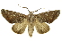  ( - INB0004204409)  @14 [ ] Copyright (2012) J. Montero INBio