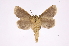  ( - INB0004205560)  @13 [ ] Copyright (2012) I. Chacon Instituto Nacional de Biodiversidad