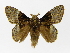  ( - INB0004205573)  @14 [ ] Copyright (2012) J. Montero Instituto Nacional de Biodiversidad
