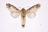  ( - INB0004205579)  @14 [ ] Copyright (2012) I. Chacon Instituto Nacional de Biodiversidad
