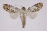  ( - INB0004205580)  @13 [ ] Copyright (2012) I. Chacon Instituto Nacional de Biodiversidad