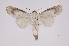  ( - INB0004205580)  @12 [ ] Copyright (2012) I. Chacon Instituto Nacional de Biodiversidad