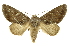  ( - INB0004205585)  @14 [ ] Copyright (2012) J. Montero INBio