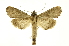  ( - INB0004205690)  @14 [ ] Copyright (2012) Juan Mata Lorenzen Unspecified