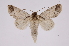  ( - INB0004205707)  @14 [ ] Copyright (2012) I. Chacon Instituto Nacional de Biodiversidad