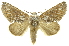  ( - INB0004205729)  @14 [ ] Copyright (2012) Juan Mata Lorenzen INBio