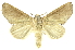  ( - INB0004205729)  @14 [ ] Copyright (2012) Juan Mata Lorenzen INBio