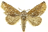  ( - INB0004205730)  @15 [ ] Copyright (2012) Juan Mata Lorenzen Unspecified
