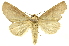  ( - INB0004205730)  @15 [ ] Copyright (2012) Juan Mata Lorenzen Unspecified