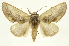  ( - INB0004207291)  @14 [ ] Copyright (2012) Juan Mata Lorenzen Unspecified