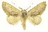  ( - INB0004207899)  @14 [ ] Copyright (2012) Juan Mata Lorenzen Unspecified