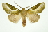  ( - INB0004208185)  @14 [ ] Copyright (2012) Juan Mata Lorenzen Unspecified
